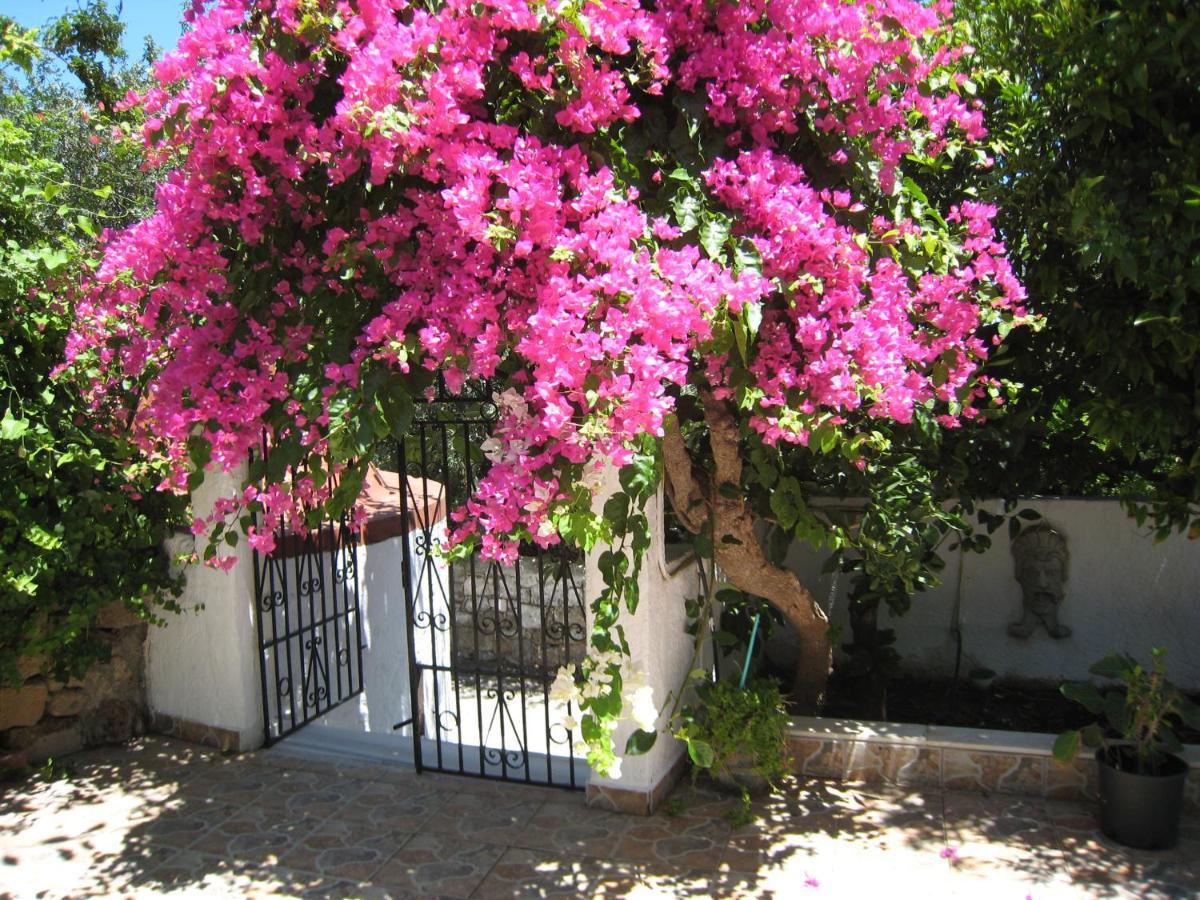 Eleftheria Lindian I