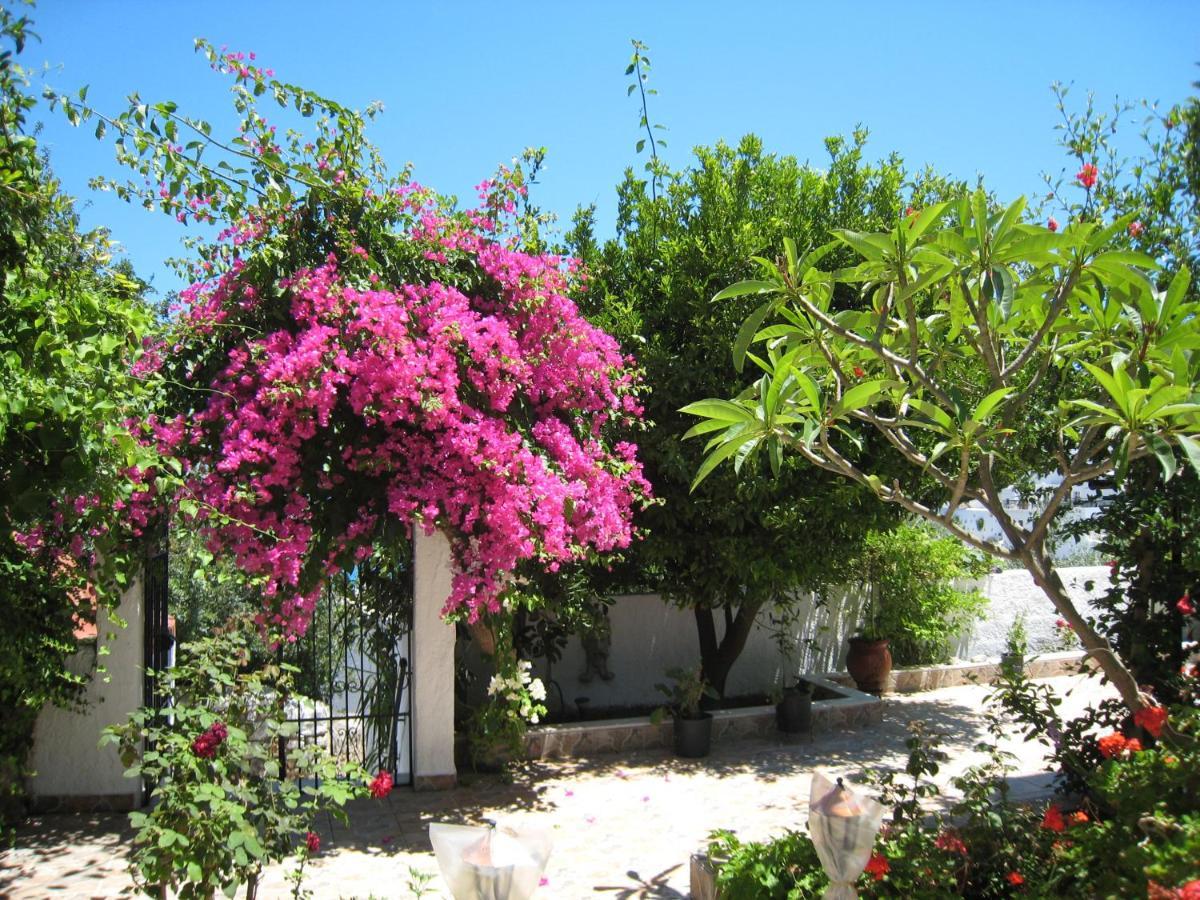 דירה Eleftheria Lindian I *