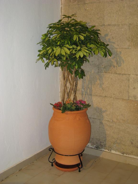 Apartment Eleftheria Lindian I Lindos (Rhodes)