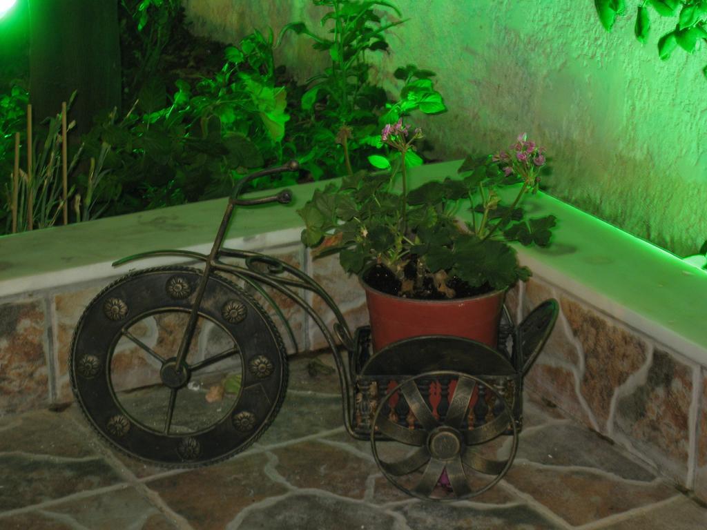 Apartment Eleftheria Lindian I *